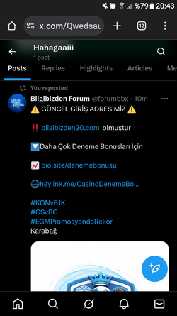 Screenshot_20251022-204400.png
