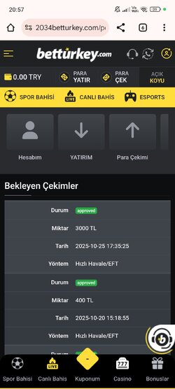 Screenshot_2025-10-25-20-57-51-179_com.android.chrome.jpg
