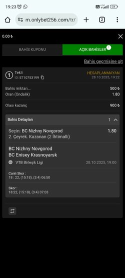 Screenshot_2025-10-28-19-23-07-320_com.android.chrome.jpg