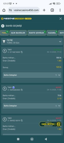 Screenshot_2025-10-31-17-17-50-066_com.android.chrome.jpg