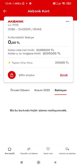 Screenshot_2025-11-06-12-44-25-108_com.akbank.android.apps.akbank_direkt.jpg