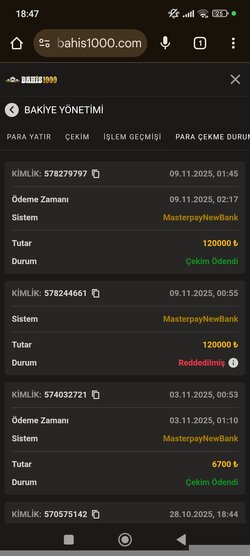 Screenshot_2025-11-10-18-47-29-174_com.android.chrome.jpg