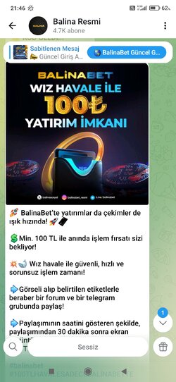 Screenshot_2026-04-06-21-46-05-107_org.telegram.messenger.jpg