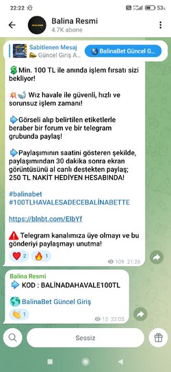 Screenshot_2026-04-06-22-22-02-045_org.telegram.messenger.jpg