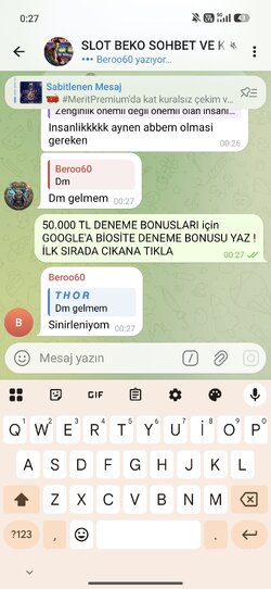 Screenshot_2026-06-03-00-27-19-791_org.telegram.messenger.jpg