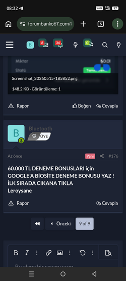 1731.png