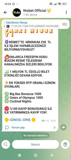 Screenshot_2026-06-11-18-54-29-766_org.telegram.messenger.jpg