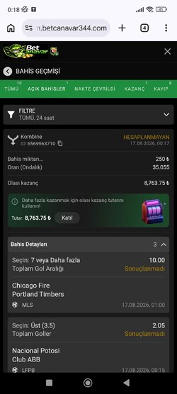 Screenshot_2026-08-17-00-18-43-501_com.android.chrome.jpg