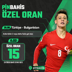 pin-ozel-oran-sm-tg.jpg