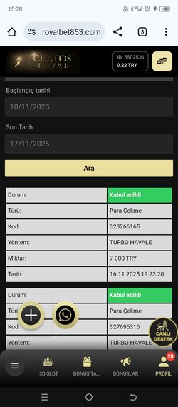Screenshot_20251117-152801.jpg