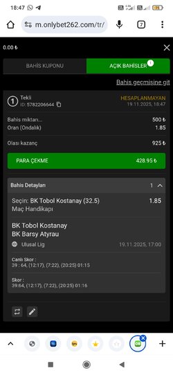 Screenshot_2025-11-19-18-47-12-020_com.android.chrome.jpg