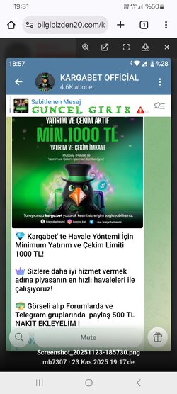 Screenshot_20251123_193117_Chrome.jpg