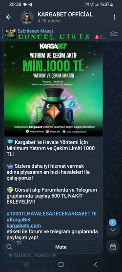 Screenshot_20251123_203815_Telegram.jpg