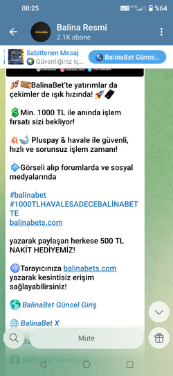 Screenshot_20251124-002552442.png