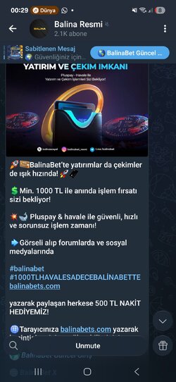 Screenshot_20251124_002926_Telegram.jpg