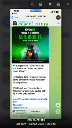 Screenshot_20251124-120843.png
