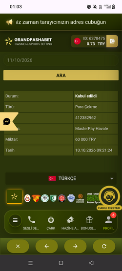 Screenshot_20261011-010327.png