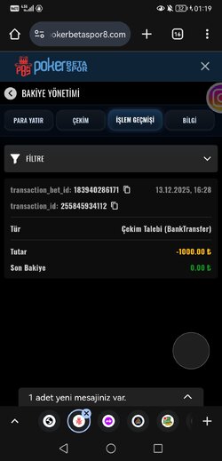 Screenshot_20251214_011937_com.android.chrome.jpg