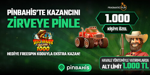 pin-kodetkinligi-sm-x.jpg