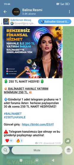 Screenshot_2025-12-29-19-44-24-379_org.telegram.messenger.jpg