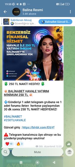 Screenshot_2025-12-29-19-55-16-874_org.telegram.messenger.jpg
