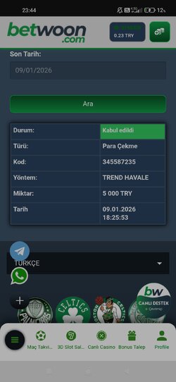 Screenshot_2026-01-09-23-44-27-578_com.android.chrome.jpg