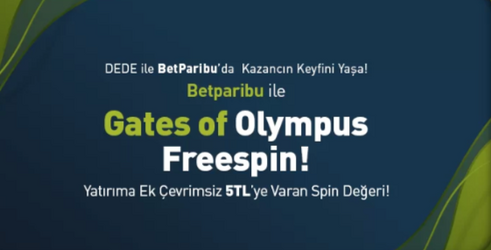 Ekran görüntüsü 2026-01-10 171452.png