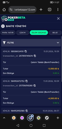 Screenshot_20260113_112731_com.android.chrome.jpg