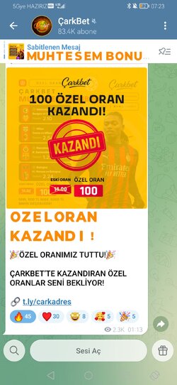 Screenshot_20260116_072359_org.telegram.messenger.jpg