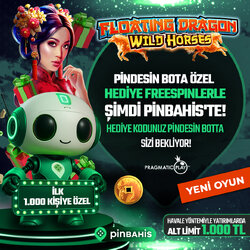 pin-pragma-kod-botu-sm-tg.jpg