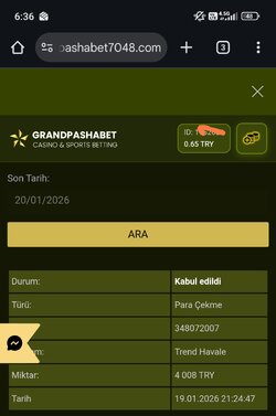 Screenshot_2026-01-20-06-36-00-758_com.android.chrome-edit.jpg