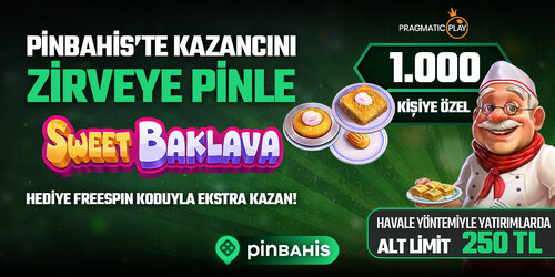 pin-kodetkinligi-sm-x.jpg