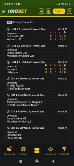 Screenshot_2026-02-13-17-20-18-369_com.android.chrome.jpg