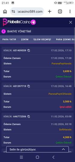 Screenshot_20260217-214153.png
