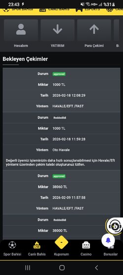 Screenshot_20260218-234339_Chrome.jpg