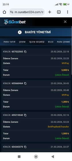 Screenshot_2026-02-25-23-19-20-346_com.android.chrome.jpg