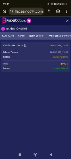 Screenshot_2026-03-20-23-11-56-479_com.android.chrome.jpg