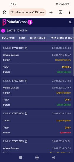 Screenshot_2026-03-25-18-29-26-560_com.android.chrome.jpg