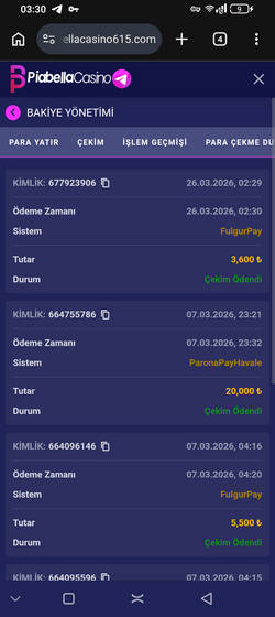 Screenshot_20260326-033006.png