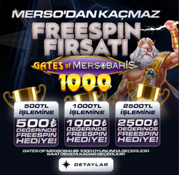 Ekran görüntüsü 2026-03-30 184931.png
